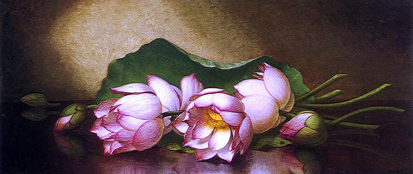  Martin Johnson Heade Egyptian Lotus Blossom - Art Print