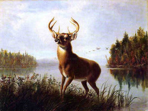  Arthur Fitzwilliam Tait An Eight Point Stag - Art Print
