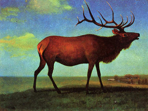  Albert Bierstadt Elk - Art Print