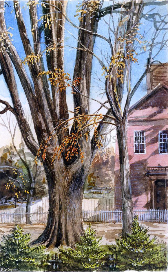  Charles De Wolf Brownell Elm, East Hartford, Connecticut - Art Print