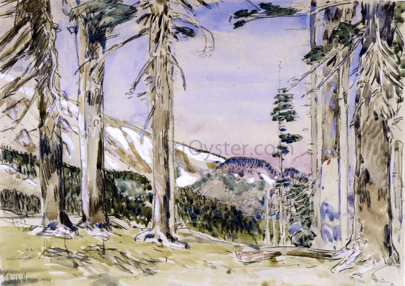  Frederick Childe Hassam End of Timberline, Mt. Hood - Art Print
