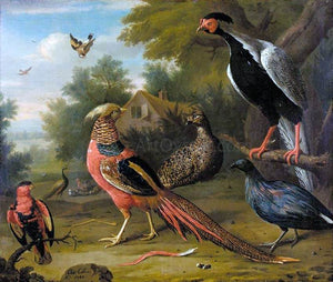  Charles Collins Exotic Pheasants and Other Birds - Art Print