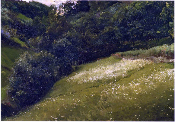  Joaquin Sorolla Y Bastida Field in Asturias - Art Print