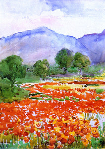  Annie G. Sykes Field of Poppies, near Spoleto Italy - Art Print