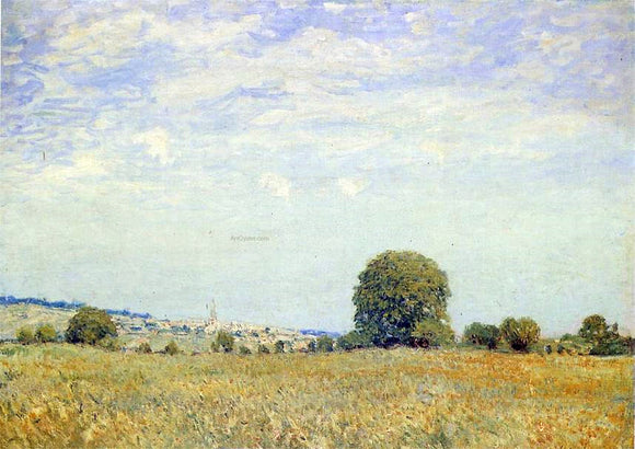  Alfred Sisley Fields at Saint Cloud - Art Print