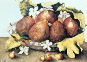  Giovanna Garzoni Figs - Art Print