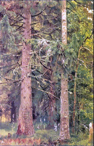  Ivan Ivanovich Shishkin Firry forest (etude) - Art Print