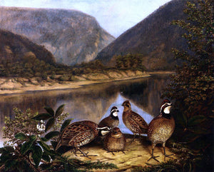 II Titian Ramsey Peale Five Bobwhites at the Delaware Water Gap - Art Print