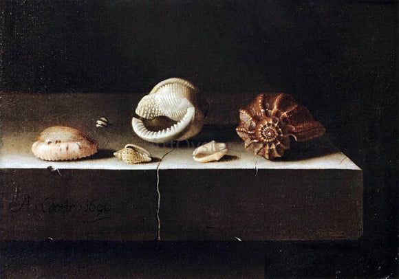  Adriaen Coorte Five Shells on a Slab of Stone - Art Print