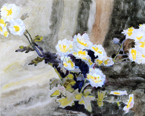  Charles Demuth Floral Still Life (also known as Wild Daisies) - Art Print