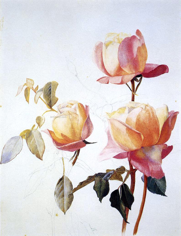  Henry Roderick Newman Florentine Roses - Art Print