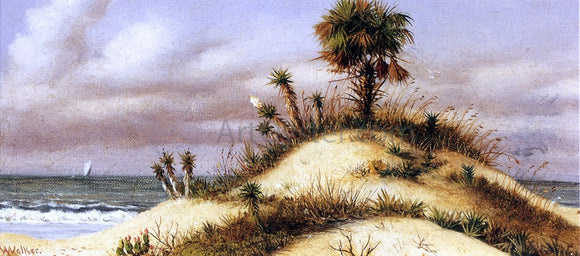 William Aiken Walker Florida Seascape with Sand Dune, Palm Tree, Yucca, Cactus and Sailboat - Art Print