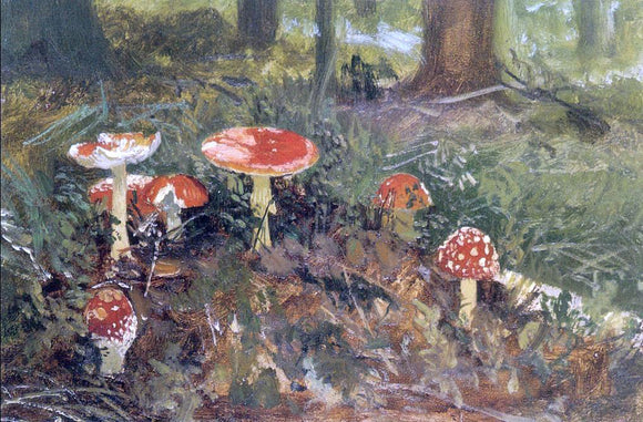  Ivan Ivanovich Shishkin Fly agarics (etude) - Art Print