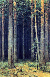  Ivan Ivanovich Shishkin Forest Reserve, Pine Grove - Art Print