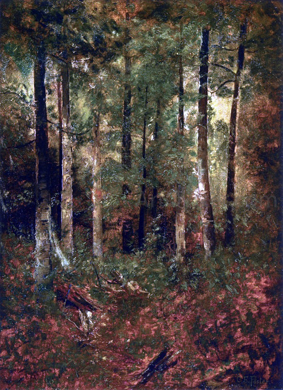  Charles Ethan Porter A Forest Scene - Art Print