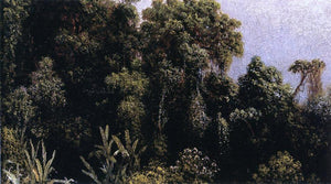  Martin Johnson Heade Forest Study, Brazil - Art Print