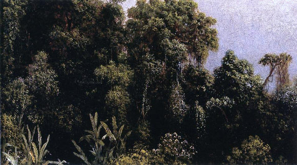  Martin Johnson Heade Forest Study, Brazil - Art Print