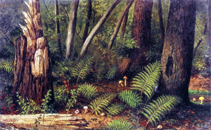  William Aiken Walker Forest with Ferns and Mushrooms - Art Print