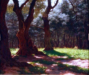  Ivan Fedorovich Choultse Foret D'Oliviers a Cap St. Martin - Art Print