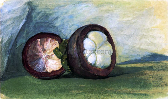  John La Farge Fruit of the Mangosteen, Java - Art Print