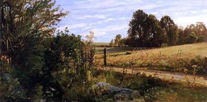  Cornelis Springer Gemeenlandhuis of Delfland Country Road - Art Print