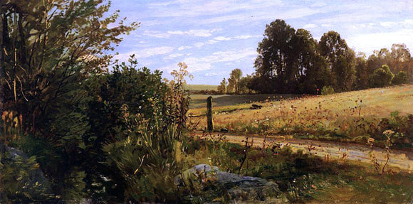  Cornelis Springer Gemeenlandhuis of Delfland Country Road - Art Print