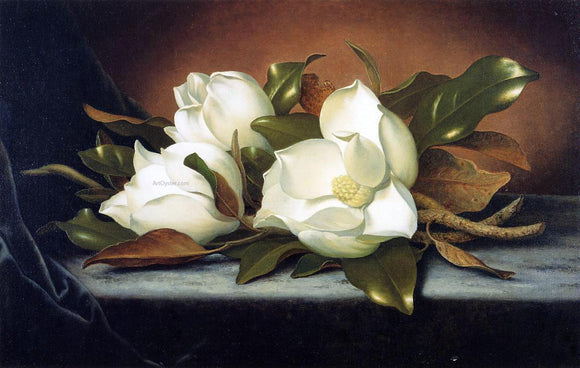  Martin Johnson Heade Giant Magnolias - Art Print