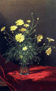  Martin Johnson Heade Golden Marguerites - Art Print