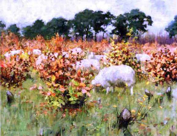  George Hitchcock Grazing Sheep - Art Print