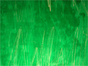  Our Original Collection Green Grass Abstract - Art Print