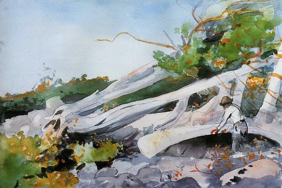  Winslow Homer Guide Hiding a Canoe - Art Print