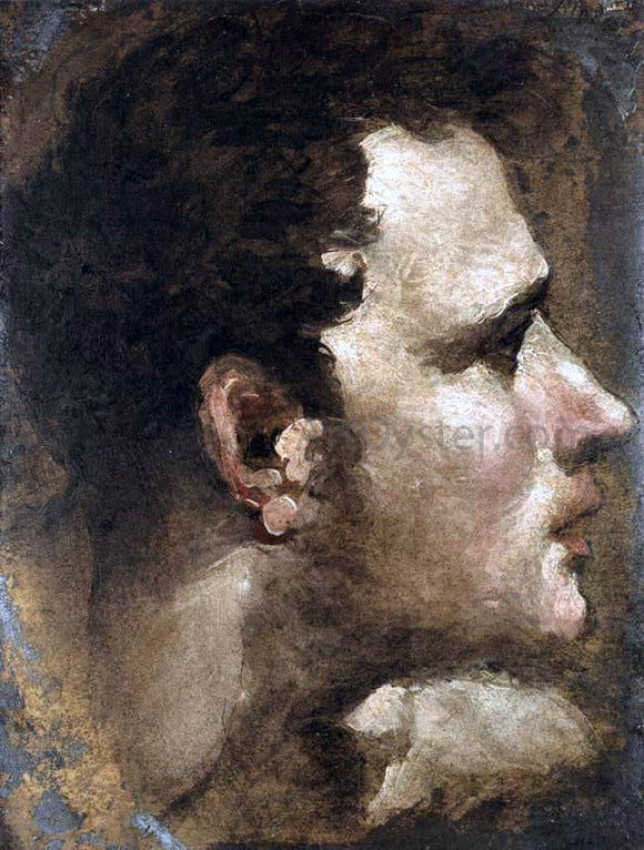  Domenico Beccafumi Head of a Youth Seen in Profile - Art Print