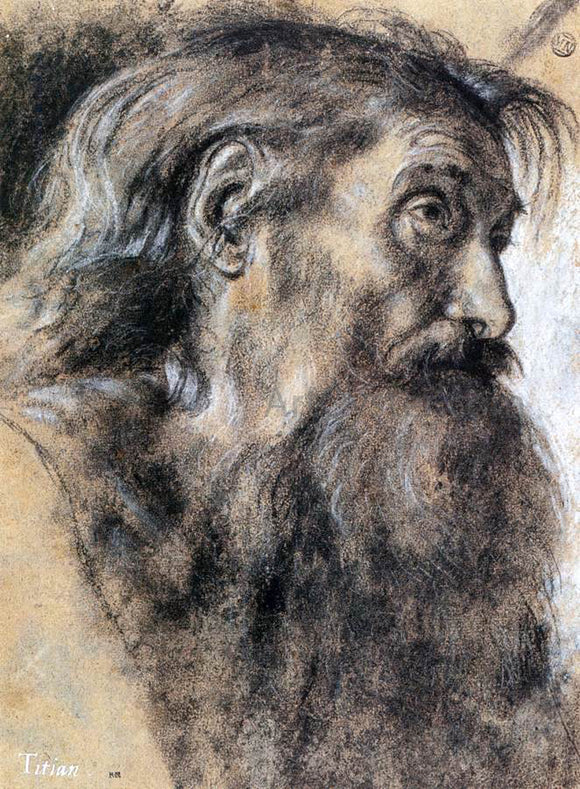  Giovanni Girolamo Savoldo Head of St Jerome - Art Print