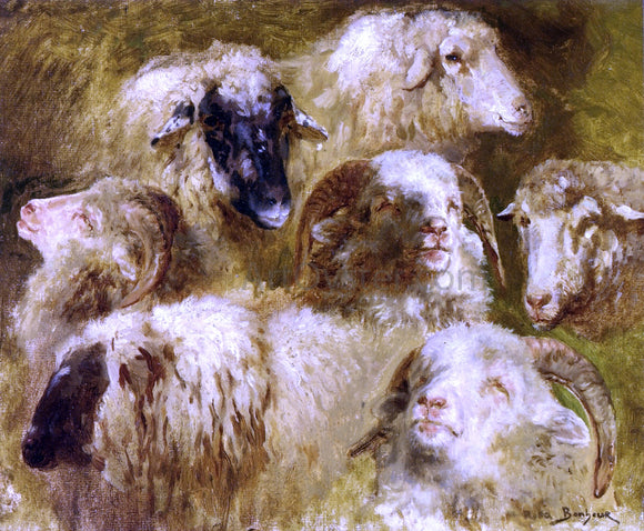  Rosa Bonheur Heads of Ewes and Rams - Art Print