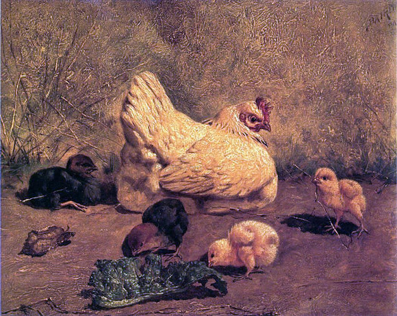  William Baptiste Baird A Hen and Chicks - Art Print