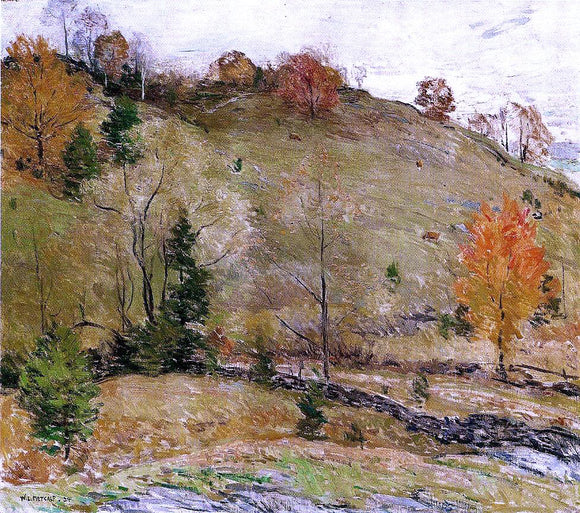  Willard Leroy Metcalf Hillside Pasture - Art Print