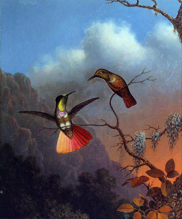  Martin Johnson Heade Hooded Visorbearer - Art Print