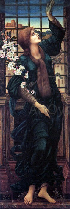  Sir Edward Burne-Jones Hope - Art Print