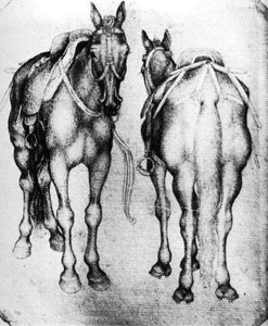  Antonio Pisanello The Horses - Art Print