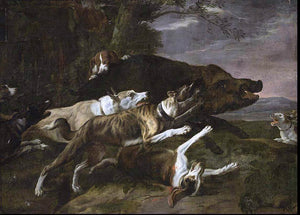  Pieter Boel Hounds Assailing a Boar - Art Print