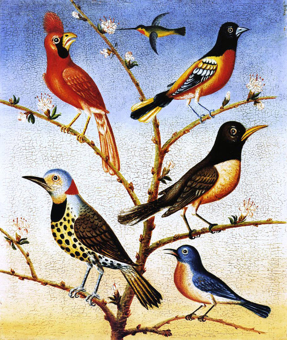  Thomas Coke Ruckle Humming Bird, Red Bird, Baltimore Bird, Robbin, Flicker, Blue Bird - Art Print