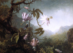  Martin Johnson Heade Hummingbird Perched near Passion Flowers - Art Print