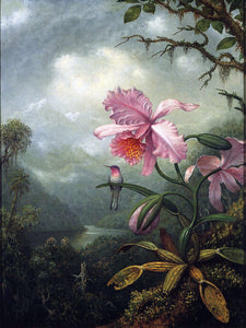  Martin Johnson Heade Hummingbird Perched on an Orchid Plant - Art Print