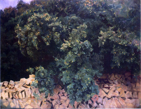  John Singer Sargent Ilex Wood, Majorca - Art Print