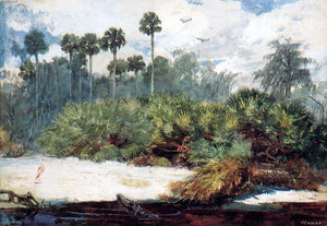 Winslow Homer In a Florida Jungle - Art Print