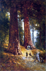  Thomas Hill In the Redwoods - Art Print