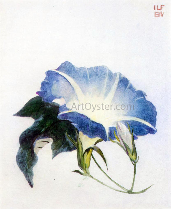  John La Farge Ipomoea (also known as Morning Glory) - Art Print