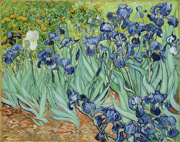  Vincent Van Gogh Irises - Art Print