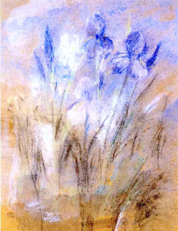  John Twachtman Irises - Art Print