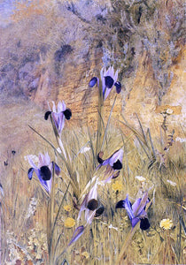  Henry Roderick Newman Irises in the Garden - Art Print